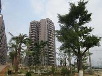 保盈·碧水湾实景图 