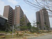 保盈·碧水湾实景图