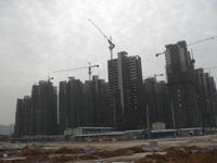 彰泰公园1号实景图2013.11.30