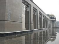 彰泰公园1号正对面公园实景图2013.11.30