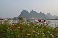 花样年麓湖国际社区实景图