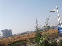 彰泰春天实景图2013.11.02