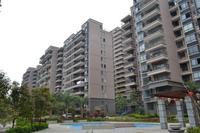 君临荔江 实景图