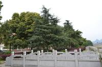 半山壹号公馆江景实景图