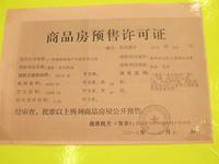 2013.2.20踩盘