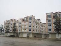 湖广国际大市场实景图 