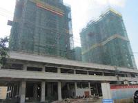 国旺花园5月实景图