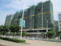 国旺花园5月实景图