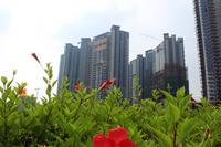 2013.06.24盛天东郡实景图