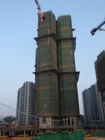 项目11月实景图 