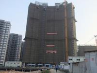 项目11月实景图 