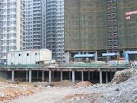 项目11月实景图 