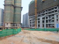 项目11月实景图 