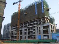 项目11月实景图 