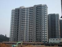 项目11月实景图 