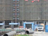 项目11月实景图 