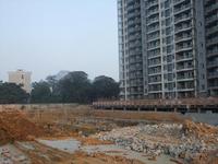 项目11月实景图