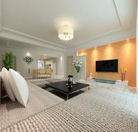 A2户型精装客厅样板间