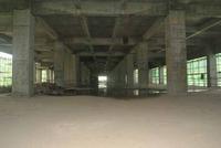 内容实景(5月拍)