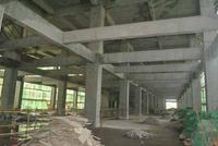 内容实景(5月拍)