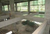 内容实景(5月拍)