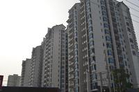 南地海江南一期实景图2013.8.23