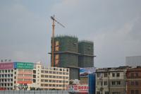 茉莉春天实景图