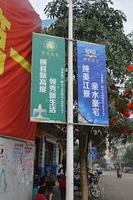 茉莉春天实景图