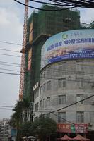 茉莉春天实景图