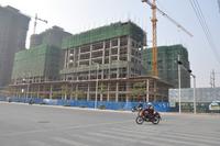 金癸·领海郡实景