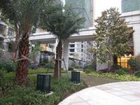 海华·东盟公馆实景图(1.17)