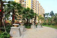 金源·天鹅湖2013.3.11实景图