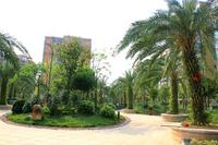 金源·天鹅湖2013.3.11实景图