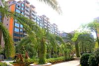 金源·天鹅湖2013.3.11实景图