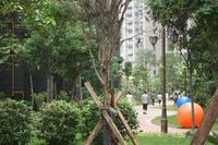 2013.8.17盛世名都实景图