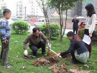 2013.03.16桃花源·香域中央第五届植树节活动现场