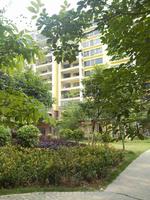 金湾蓝岸5月实景美图