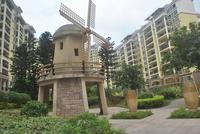 金湾蓝岸5月实景美图