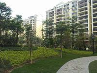 金湾蓝岸5月实景美图