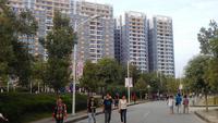 凤岭名园实景图(2013.11.9)