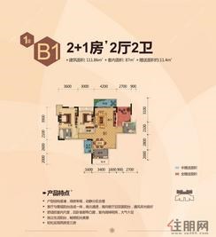 【1#B1】2厅2卫1厨2阳台