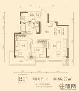 B1'户型