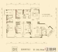 D1户型