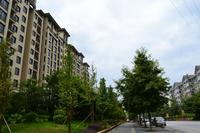 兴进上郡实景图2013.6.29