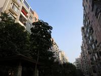 东湖·聚兴苑2013.1.22实景图