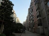 东湖·聚兴苑2013.1.22实景图