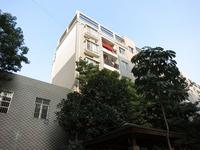 东湖·聚兴苑2013.1.22实景图