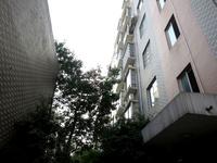 东湖·聚兴苑2013.1.22实景图