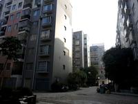 东湖·聚兴苑2013.1.22实景图