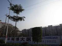 东湖·聚兴苑2013.1.22实景图